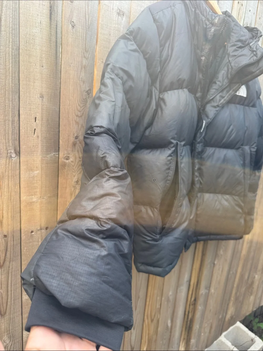 The North Face nuptse  Hooded Puffer Jacket